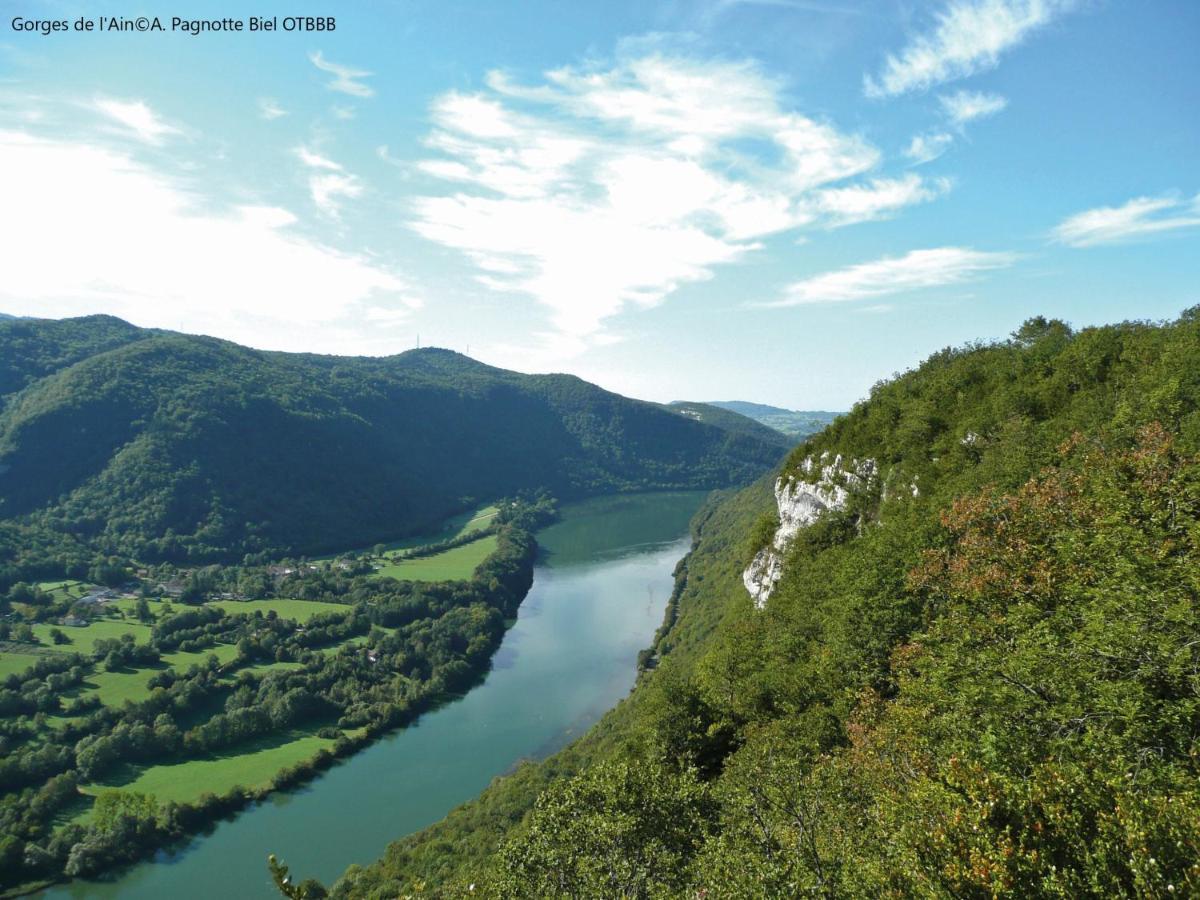 Brou-Seillon : Entre Histoire Et Nature Bourg-en-Bresse Eksteriør billede