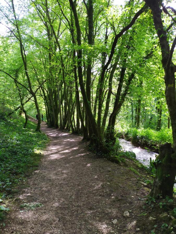 Brou-Seillon : Entre Histoire Et Nature Bourg-en-Bresse Eksteriør billede