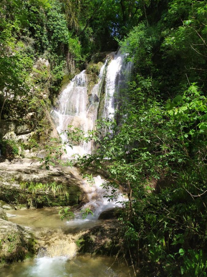 Brou-Seillon : Entre Histoire Et Nature Bourg-en-Bresse Eksteriør billede